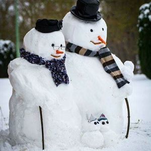 Meet your Posher, Patty